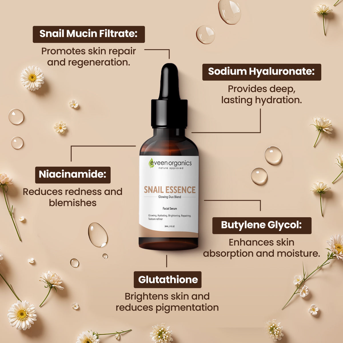 Snail Essence Serum - image 2