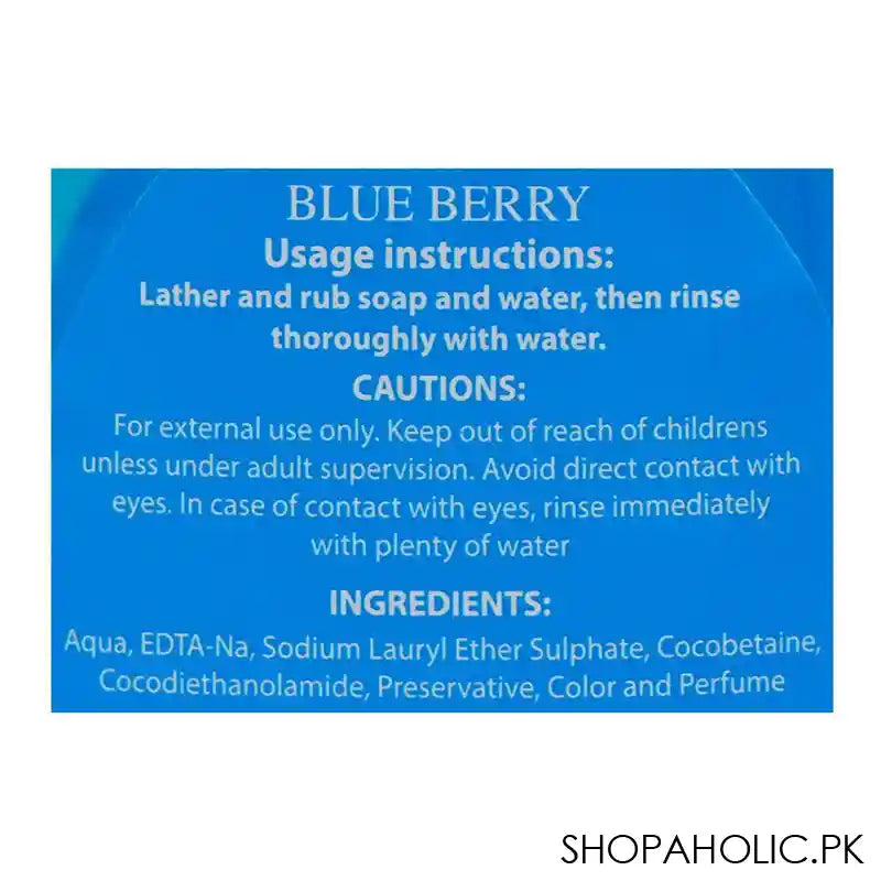 Fay Blue Berry Liquid Hand Wash, 500ml - Image 3