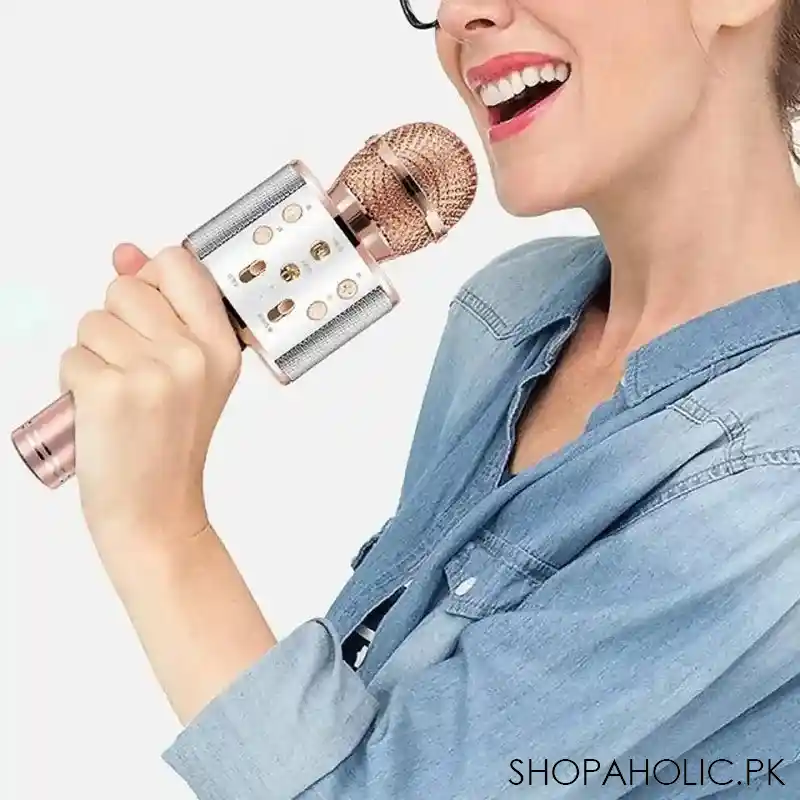 handheld microphone speaker image2