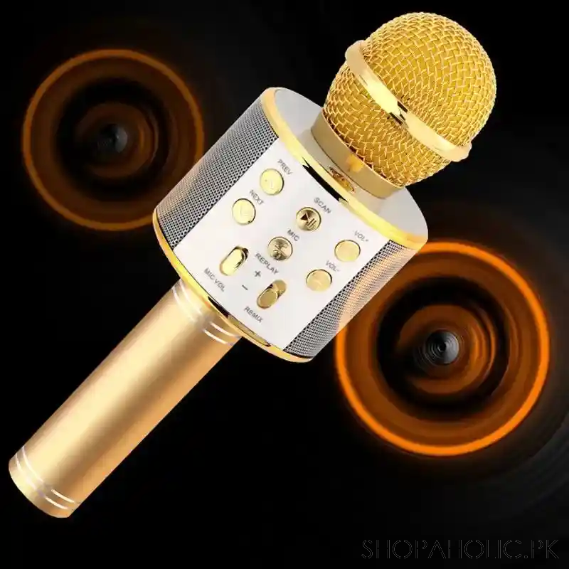 handheld microphone speaker image3