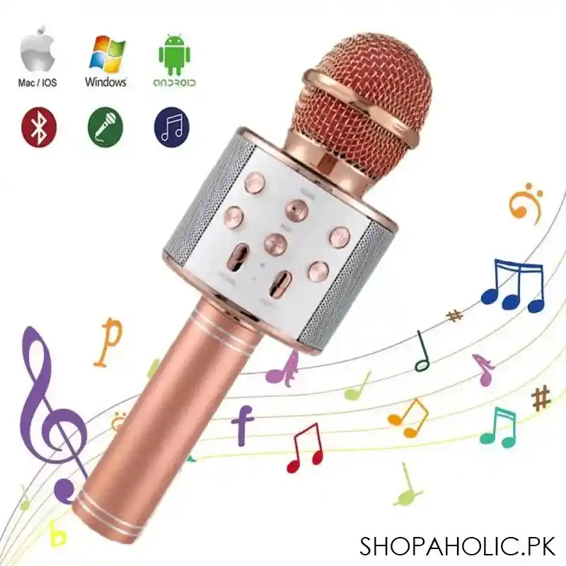 handheld microphone speaker image5