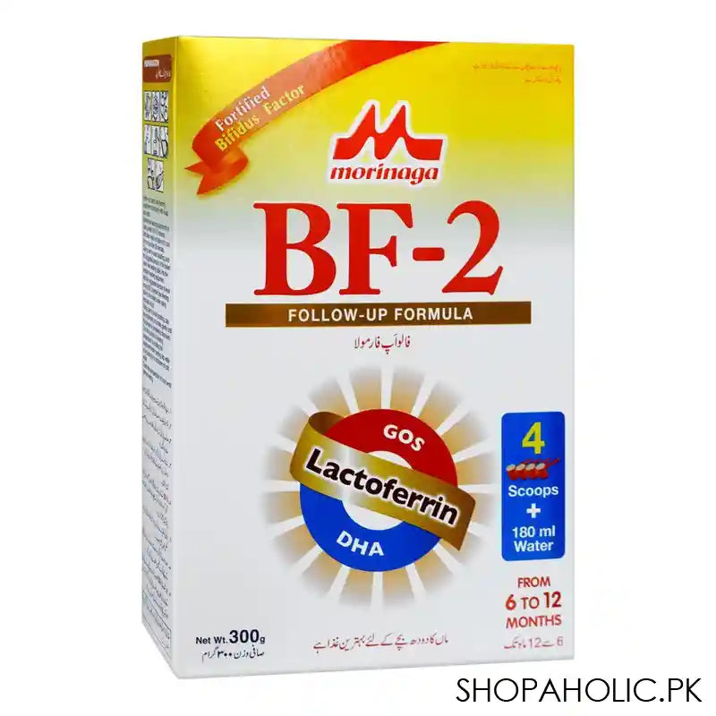 Morinaga BF-2 Follow-Up Formula, For 6 To 12 Months, Box 300g - Main Image