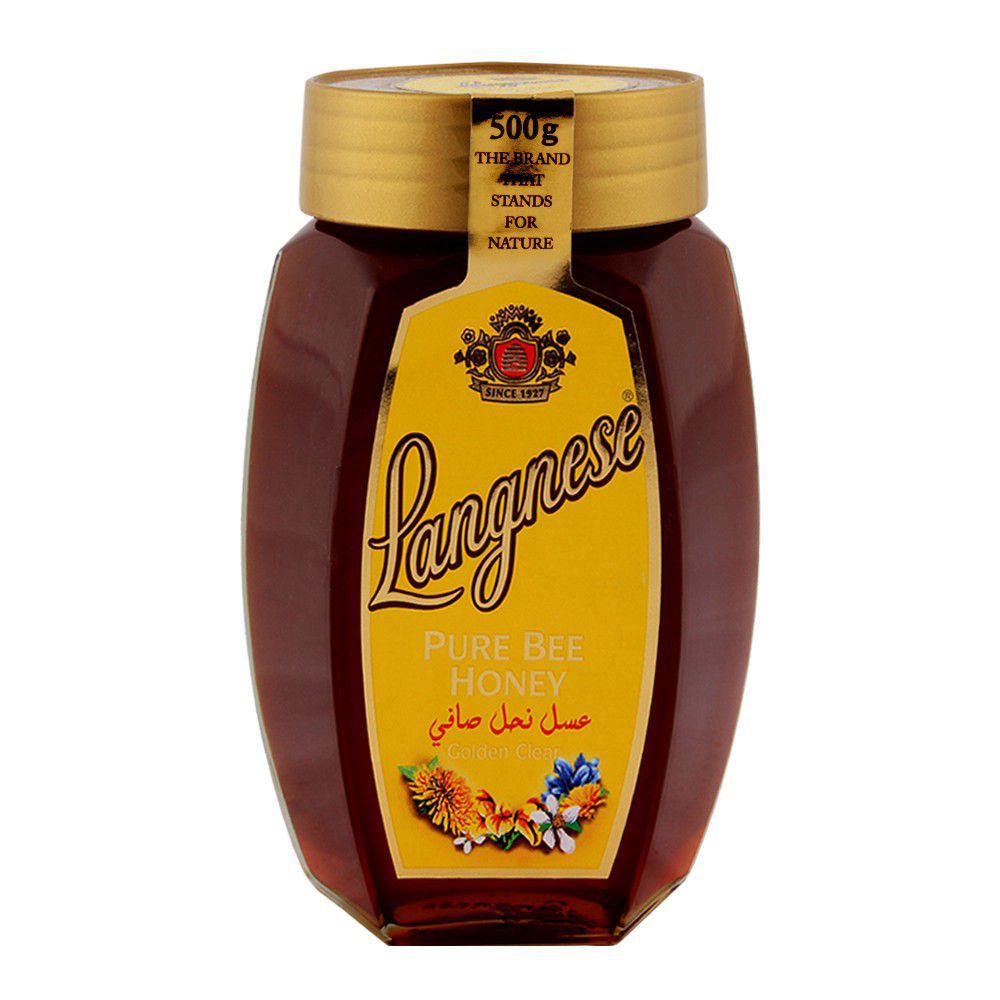 Langnese Honey 500gm - Main Image