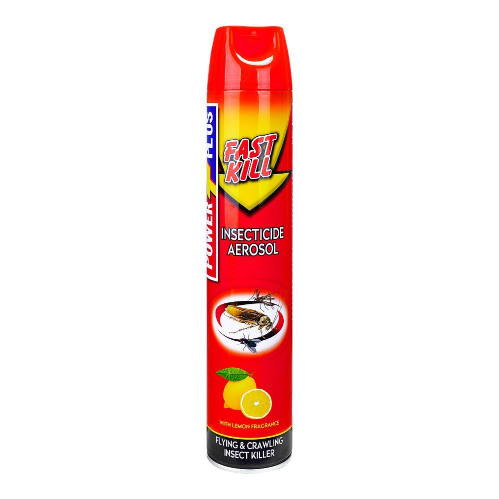 Power Plus Fast Kill Insecticide Aerosol, 600ml - Main Image