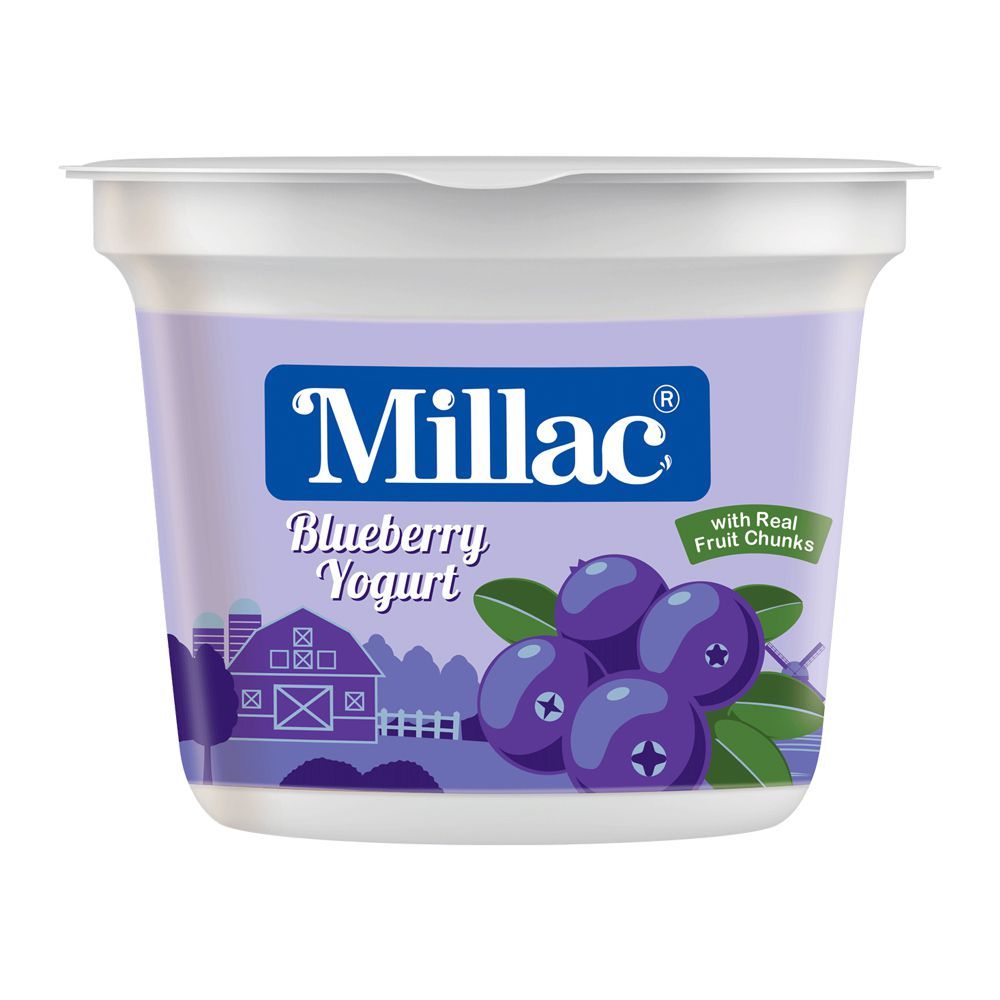 Millac Blueberry Fruit Yogurt, 250g - Main Image