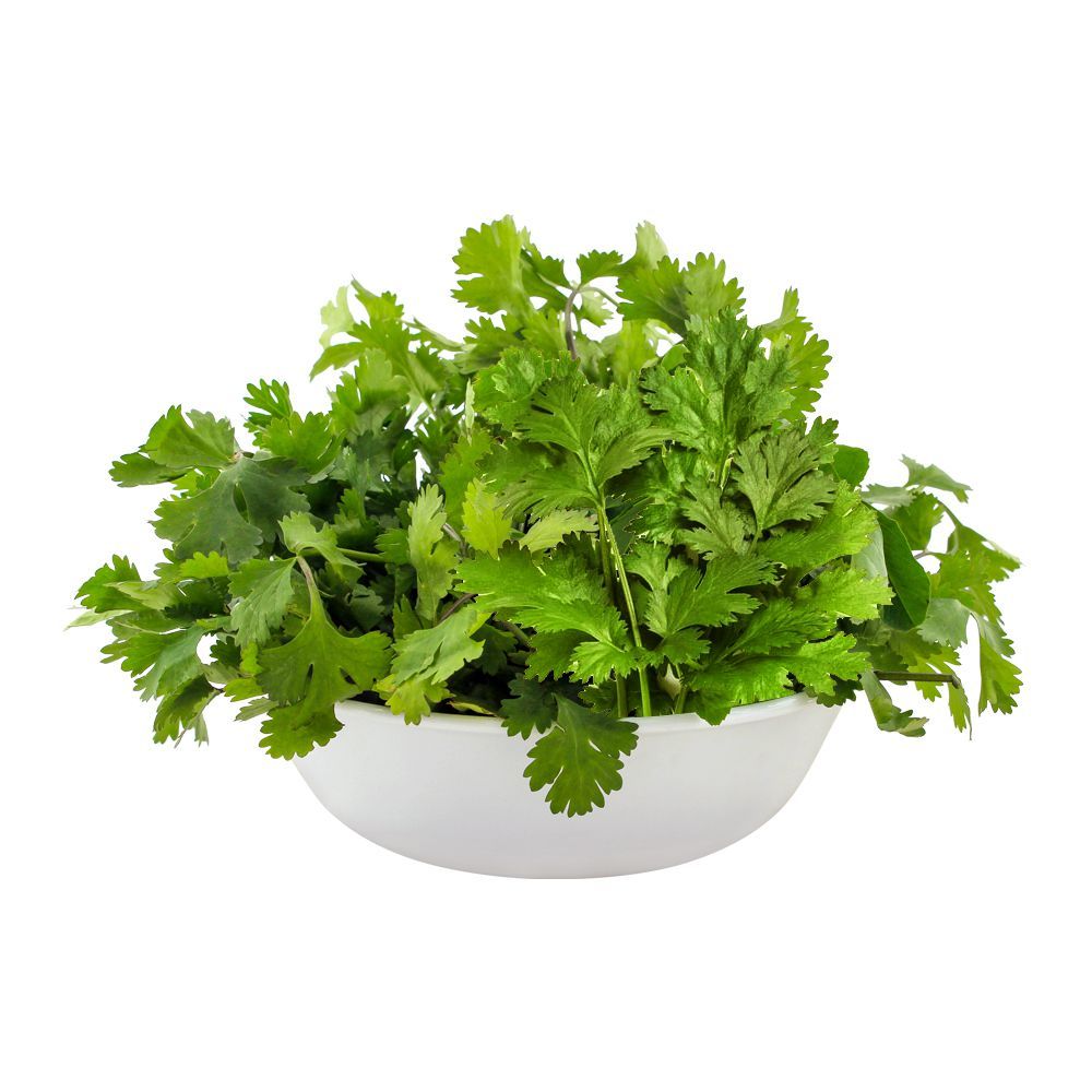 Coriander (Dhania) Leaves Local 1-Bunch - Main Image