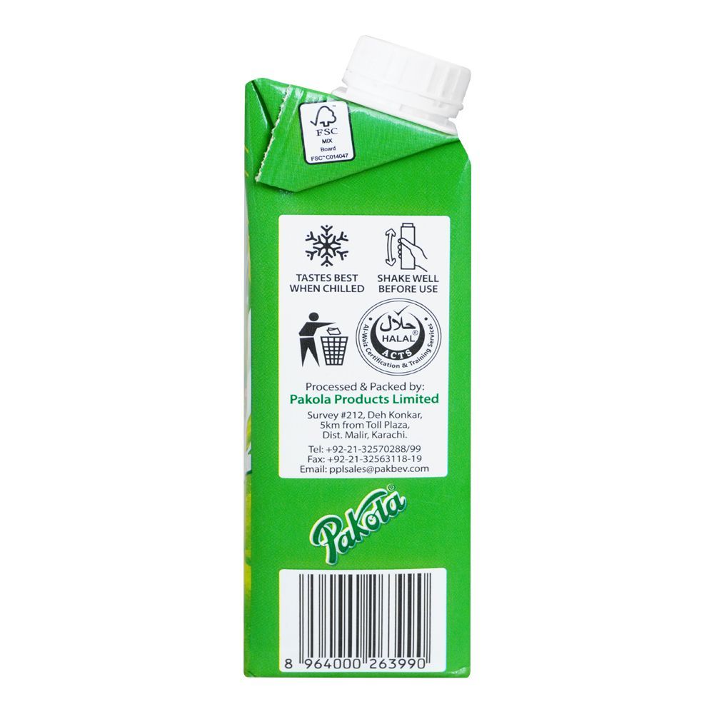 Pakola Ice Cream Flavored Milk, 235ml - Image 3