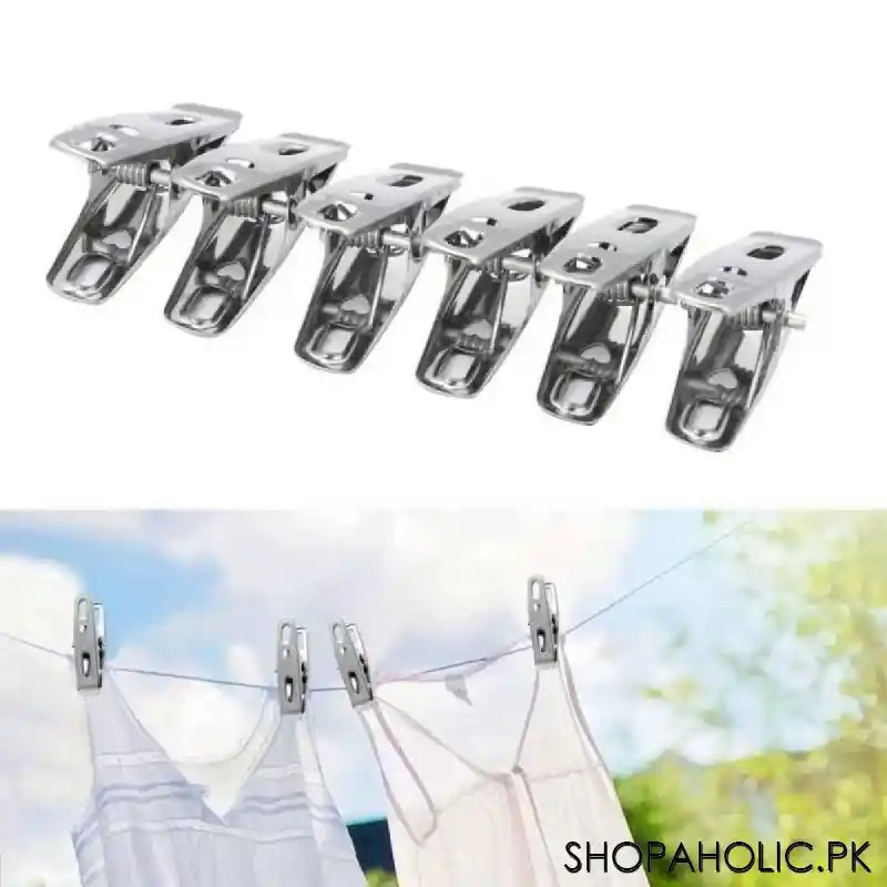 12 pegs stainless steel clothes clips main image