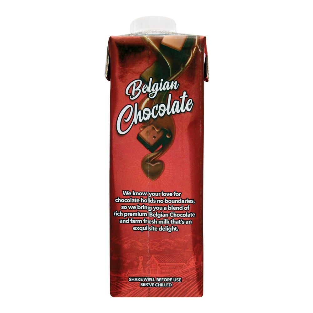 Day Fresh Belgian Chocolate Milk, 225ml - Image 2