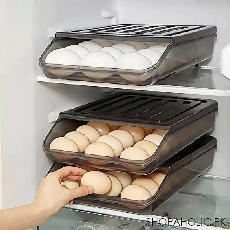 18 egg storage box image2