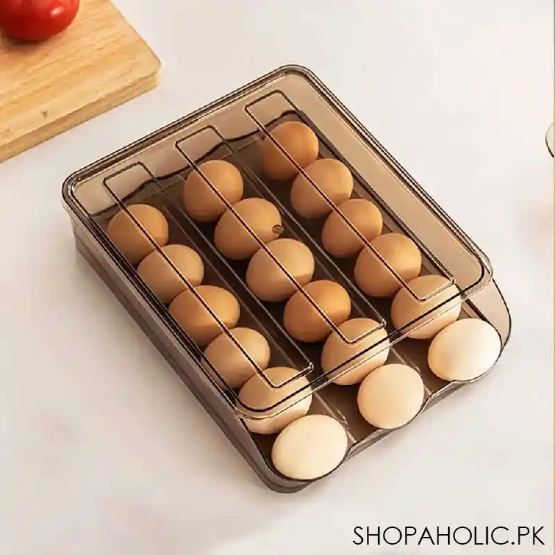 18 egg storage box main image