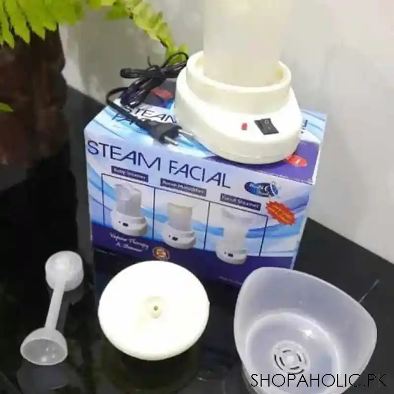 3 in 1 facial steamer main image