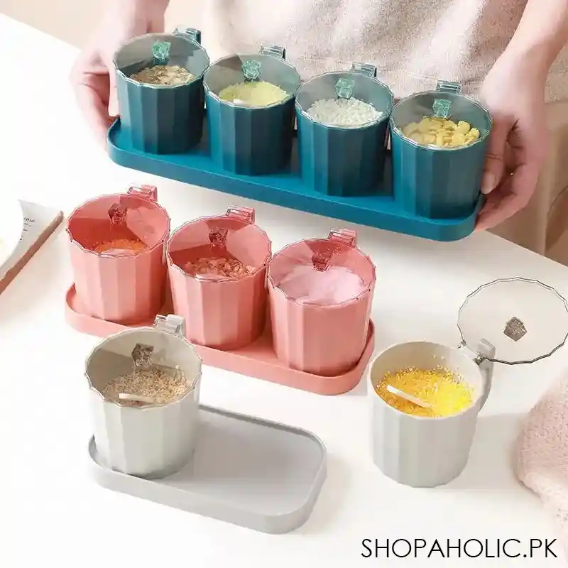 4 pcs candy seasoning box image2