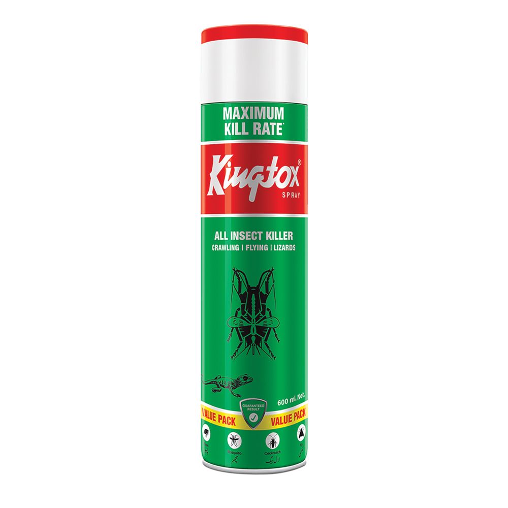 Kingtox Crawling & Flying Pest Spray 600ml - Main Image