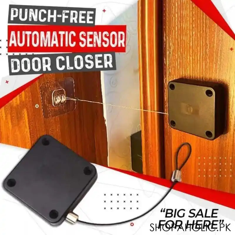 automatic door closer main image