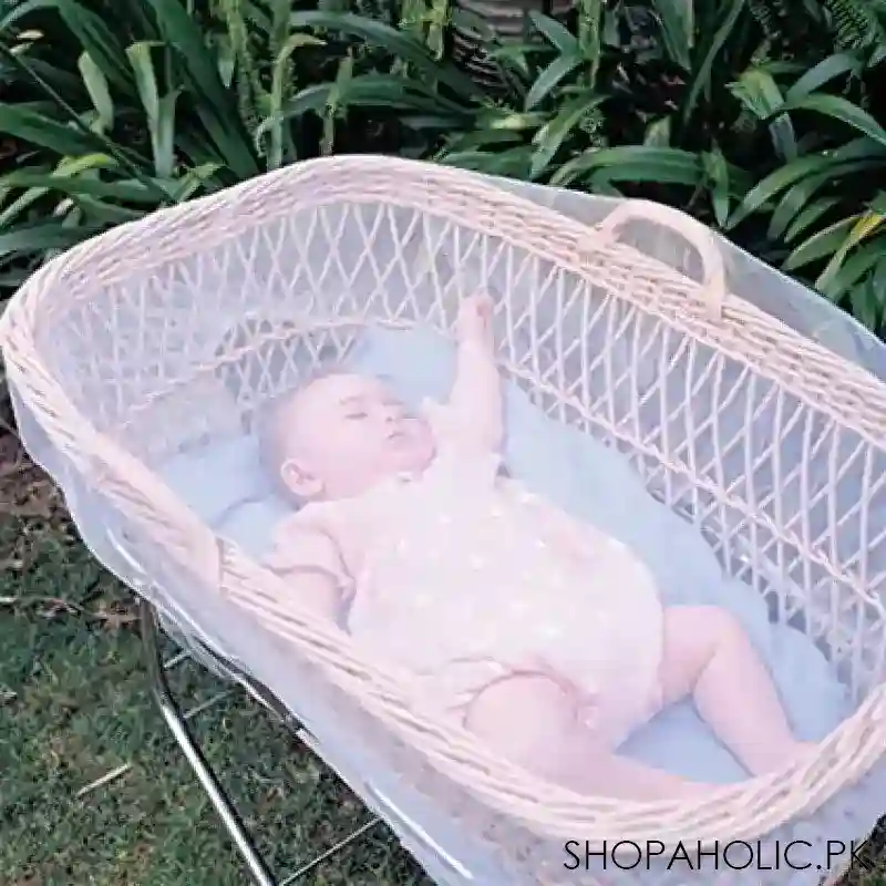 baby mosquito net main image