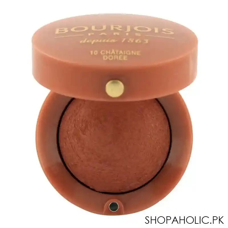 bourjois blusher 10 chataigne doree main image