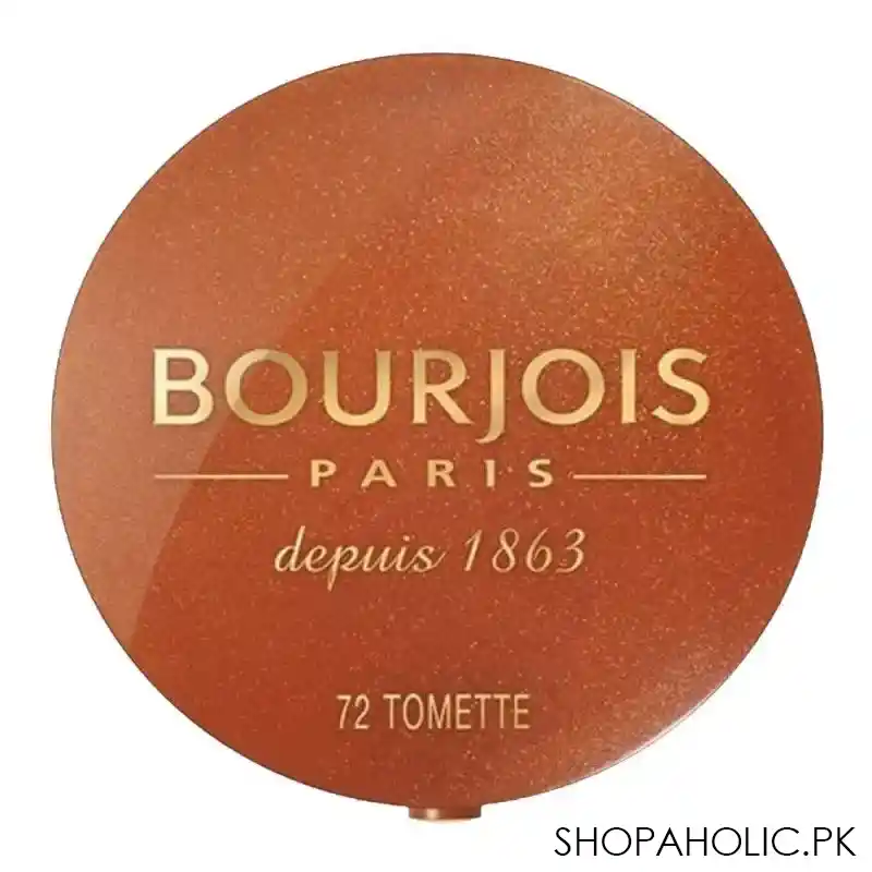 bourjois blusher 72 tomette image2