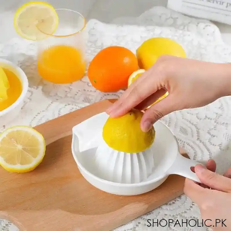 citrus juicer with handle main image