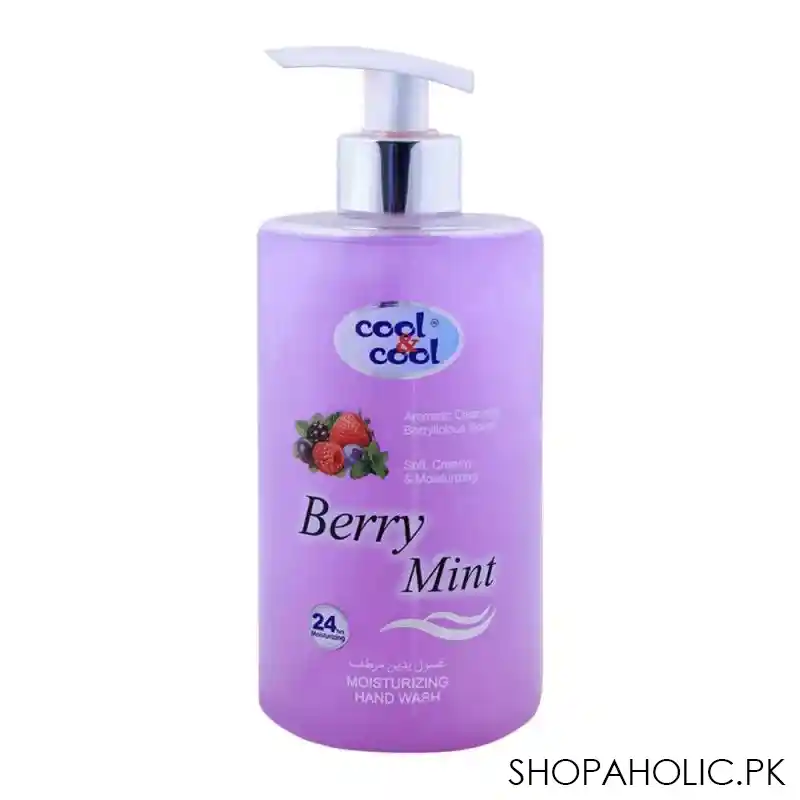 cool & cool berry mint moisturizing hand wash 500ml main image