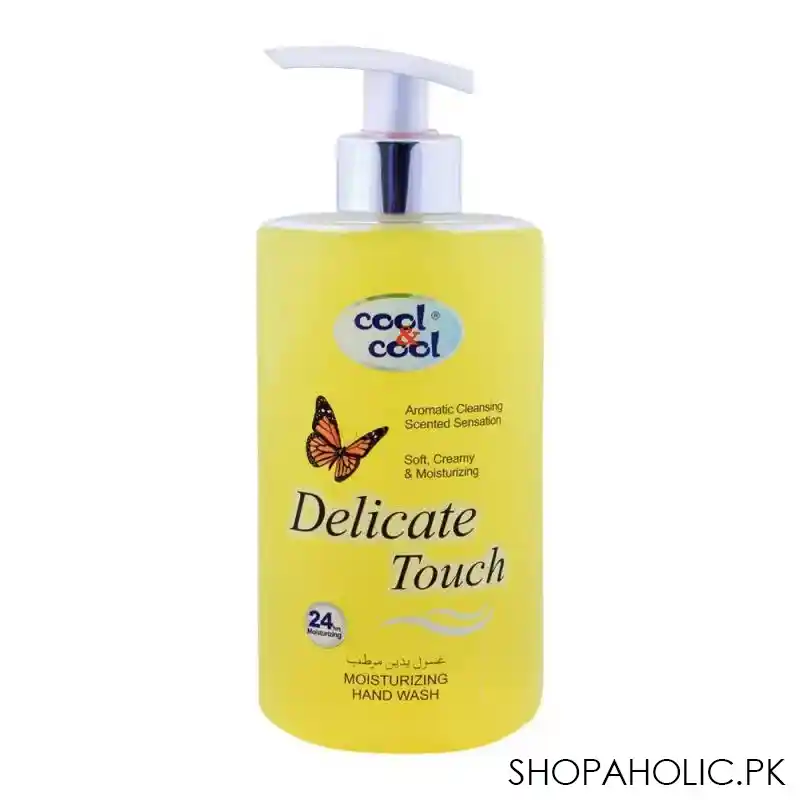 cool & cool delicate touch moisturizing hand wash 500ml main image