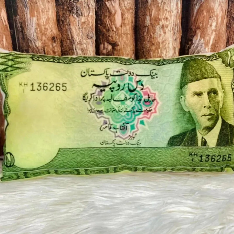 currency cushion image3