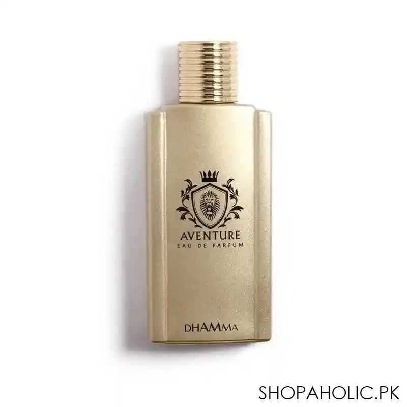 dhamma aventure eau de parfum, fragrance for men, 100ml image2