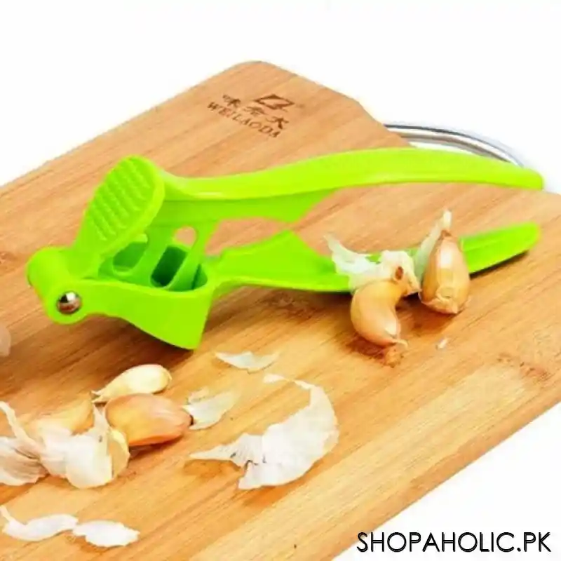 handy garlic press pounder main image