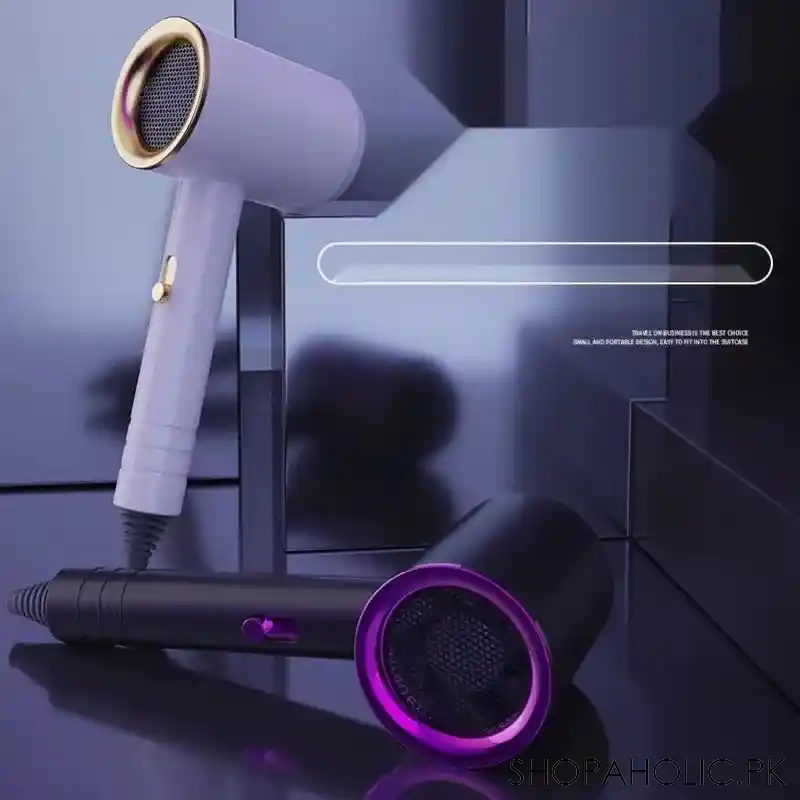 iconic hair dryer main image