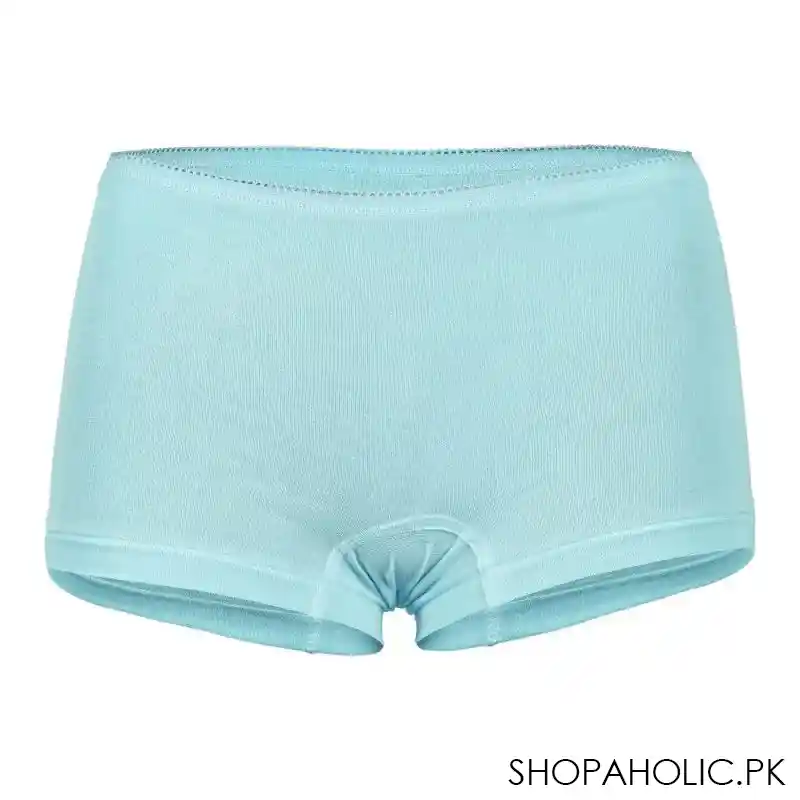 ifg petal's 076 brief, aqua main image