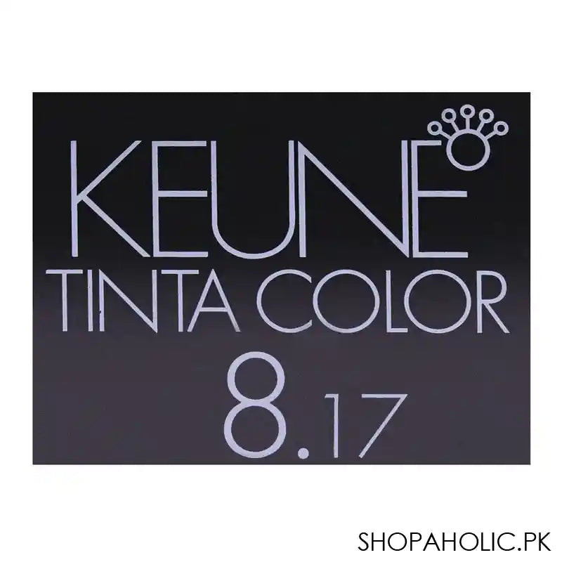 Keune Tinta Hair Color 8.17 Light Ash Violet Blonde - Image 4