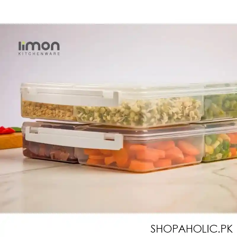 limon 4 section freezer box with lid 250ml product code: 22835 image2