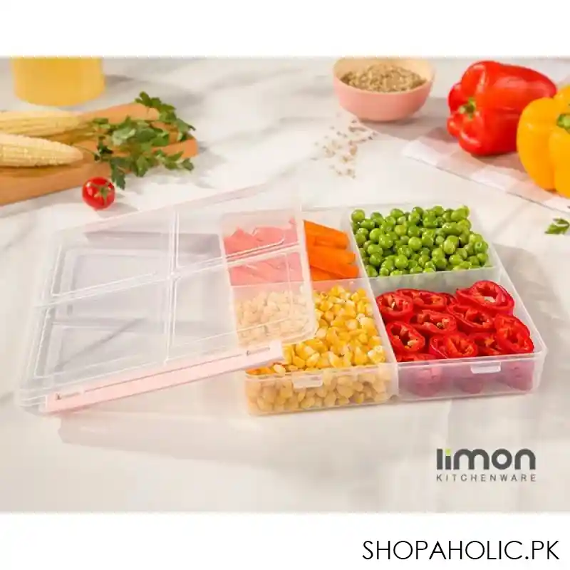 limon 4 section freezer box with lid 250ml product code: 22835 main image