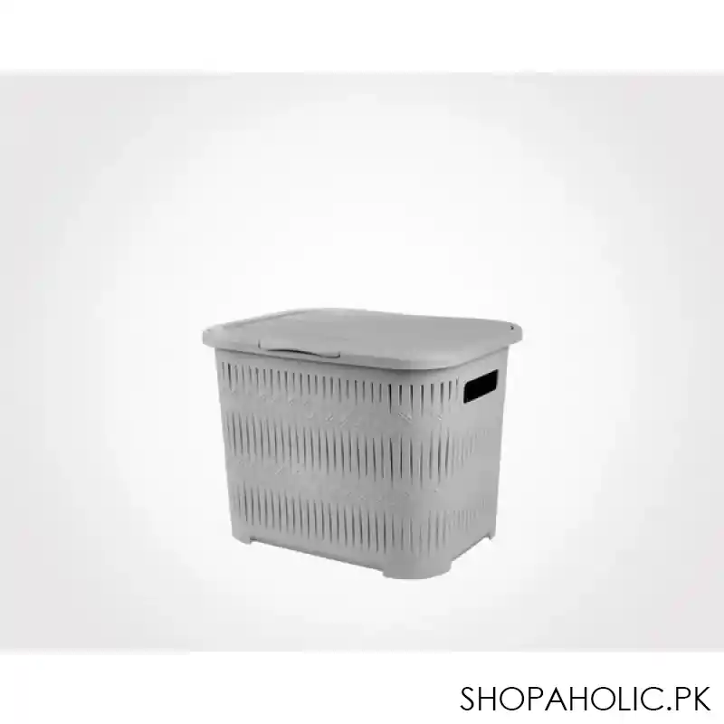 limon laundary basket with lid small size product code: 1512 image3