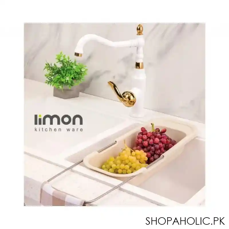 limon multipurpose sink basket product code: 1906 main image