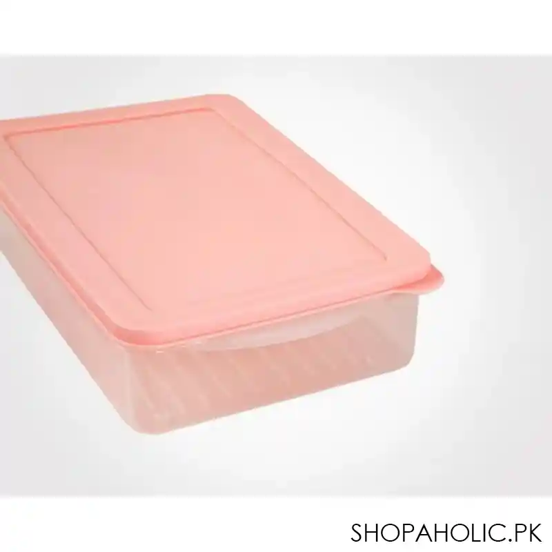 limon nastaran freezer box 2 pcs set product code: 97035 image2