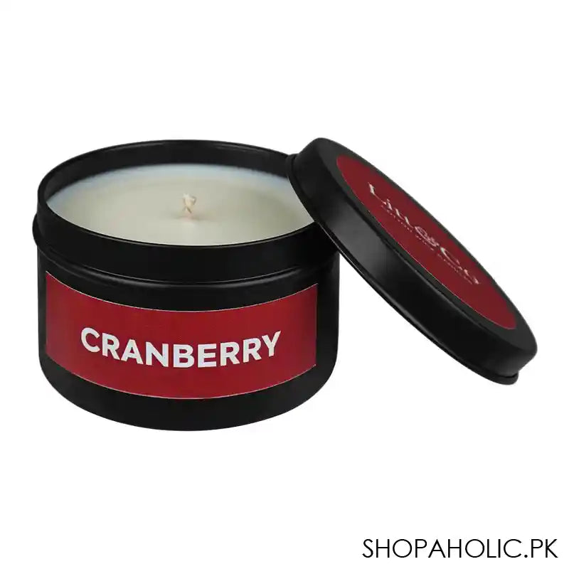 Litt & Co Cranberry Fragranced Candle, Cotton Wick Candle, Burn Time 25 Hours - Main Image