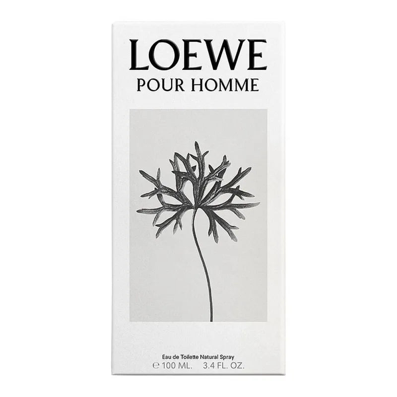 loewe pour homme eau de toilette, for men, 100ml image2