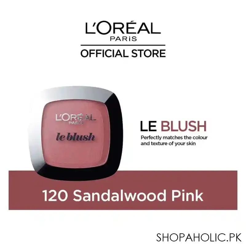 l'oreal paris true match blush, 120 rose santal main image