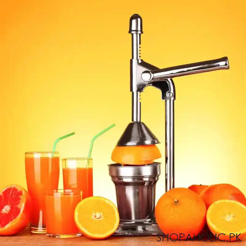 manual citrus juicer main image