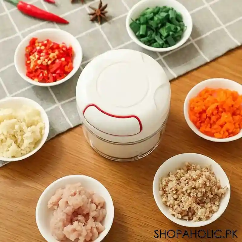 mini food chopper image2