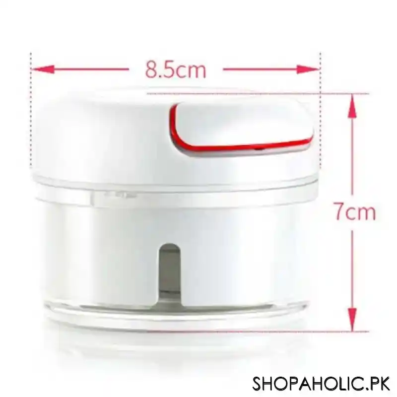 mini food chopper image3