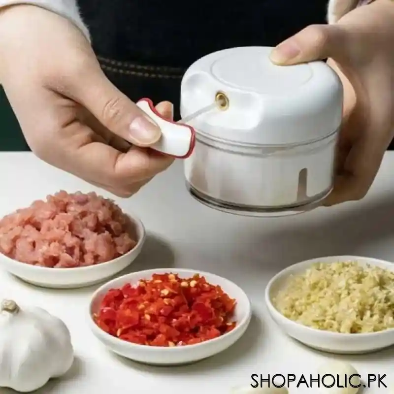 mini food chopper image6