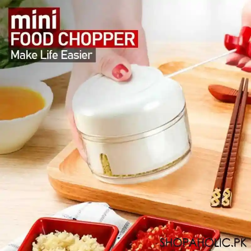 mini food chopper main image