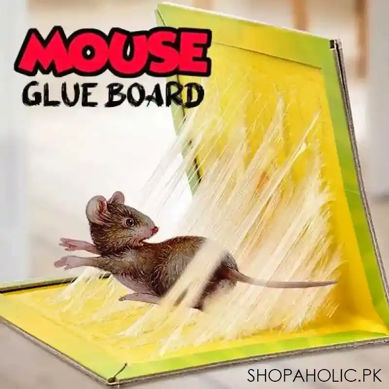 mouse and rat glue trap board main image