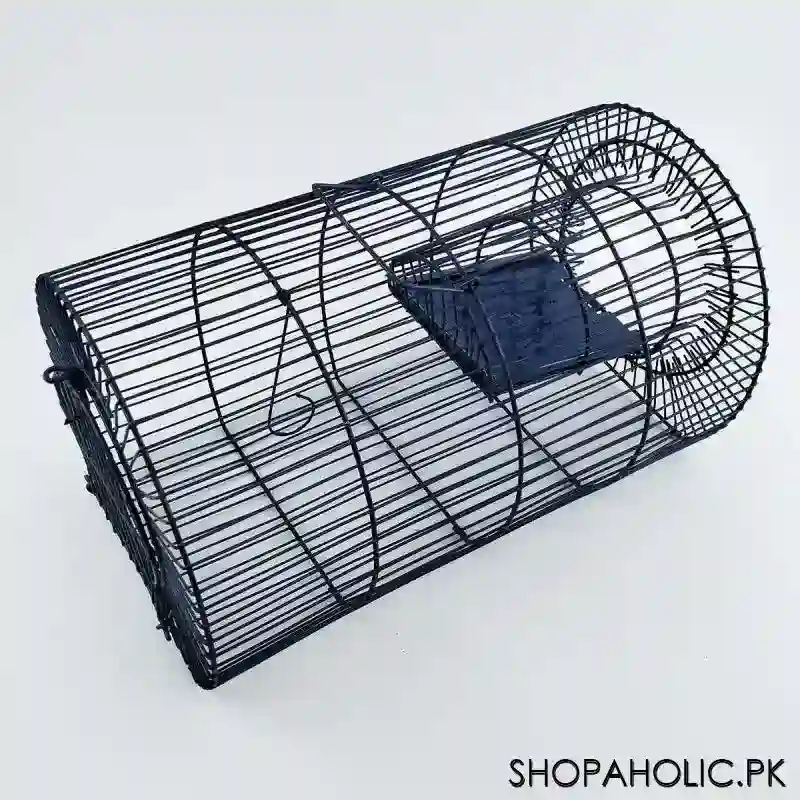 mouse trap cage main image