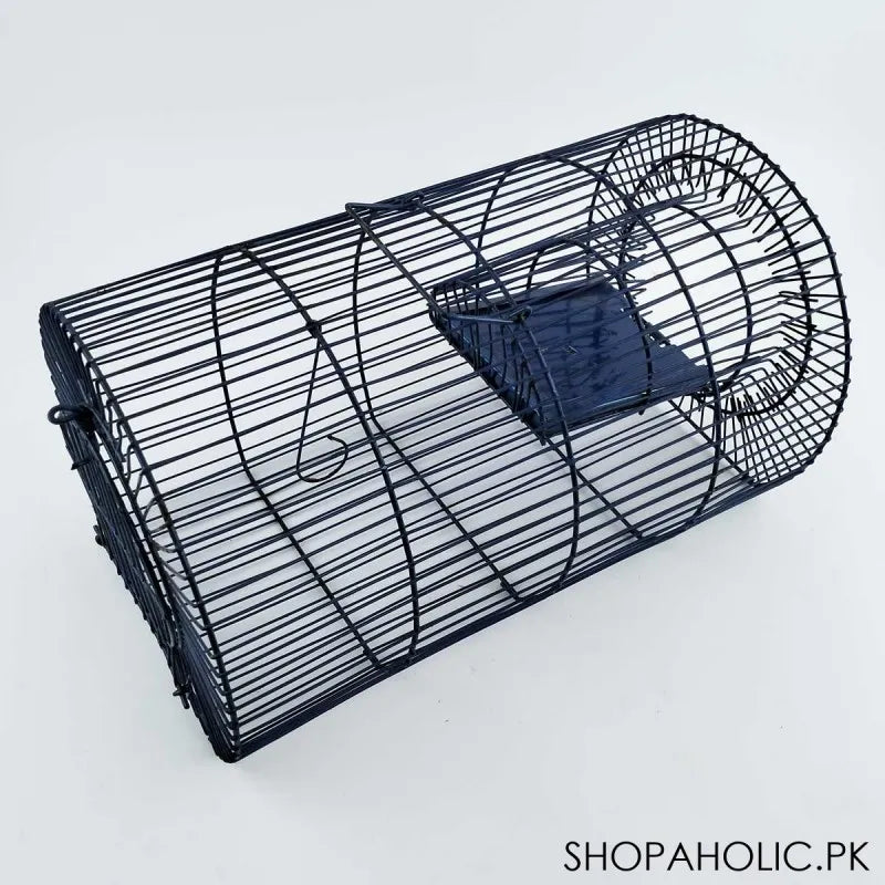 mouse trap cage main image