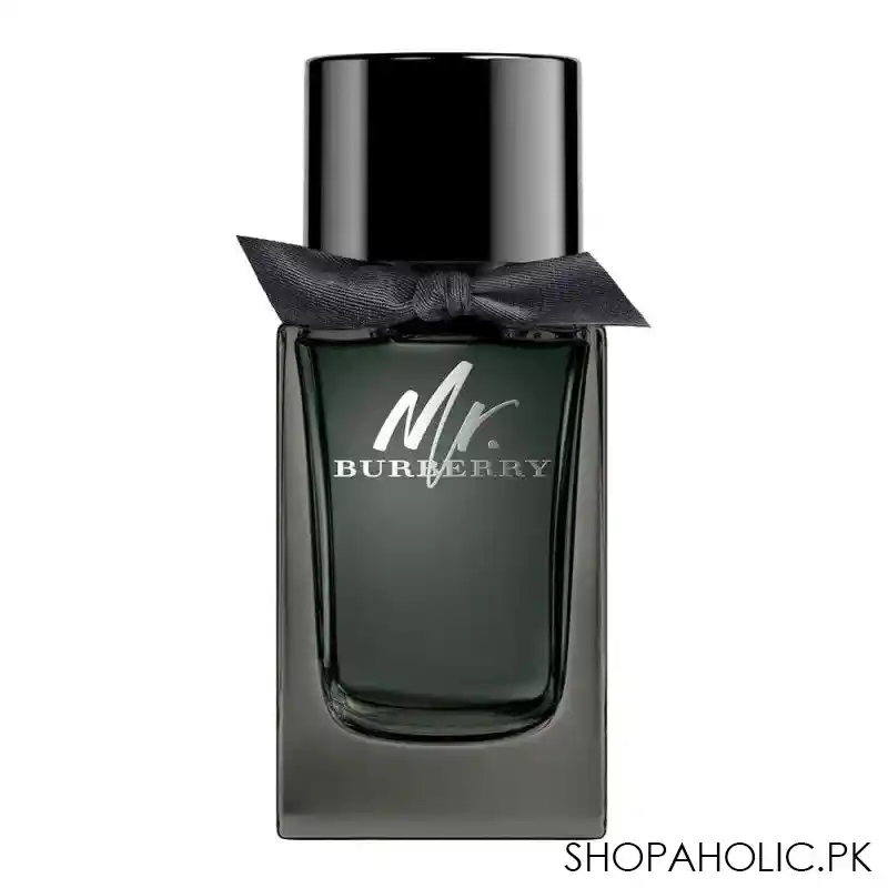 mr. burberry eau de parfum 100ml main image