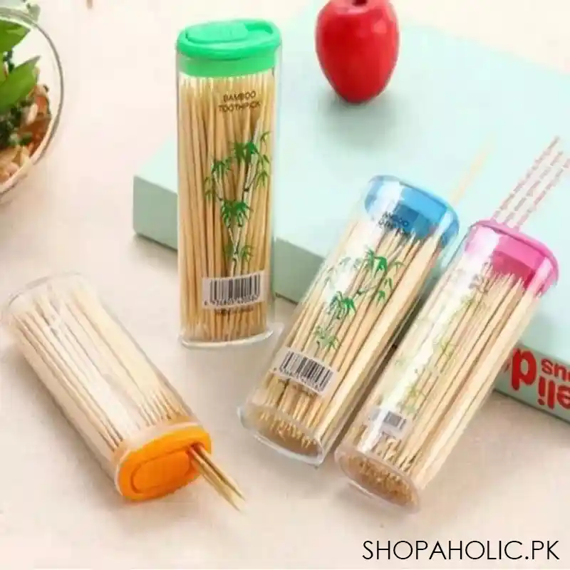 pack of 2 disposable wood toothpicks main image