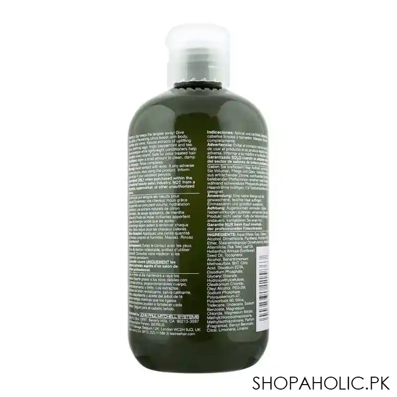 paul mitchell tea tree lemon sage thickening energizing body builder conditioner, 300ml image2